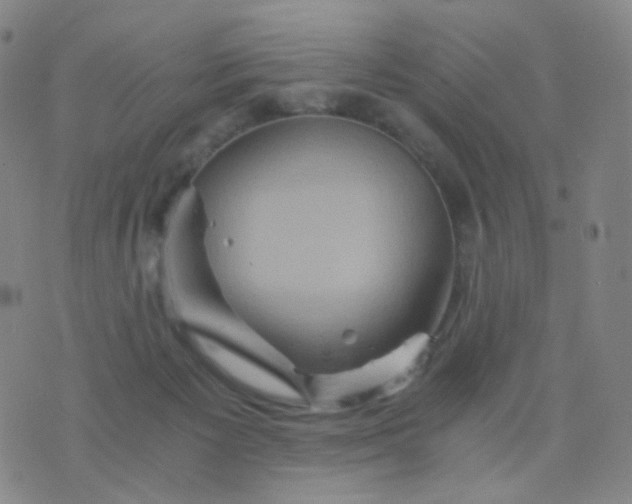 X0000076450125200610202344