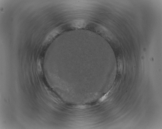 X0000076450128200610202344