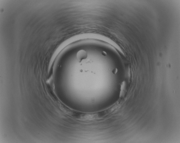 X0000076450129200610202344