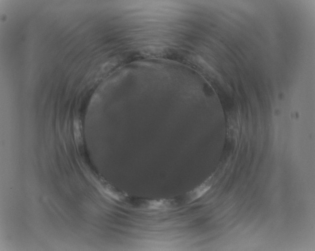 X0000076450130200610202344