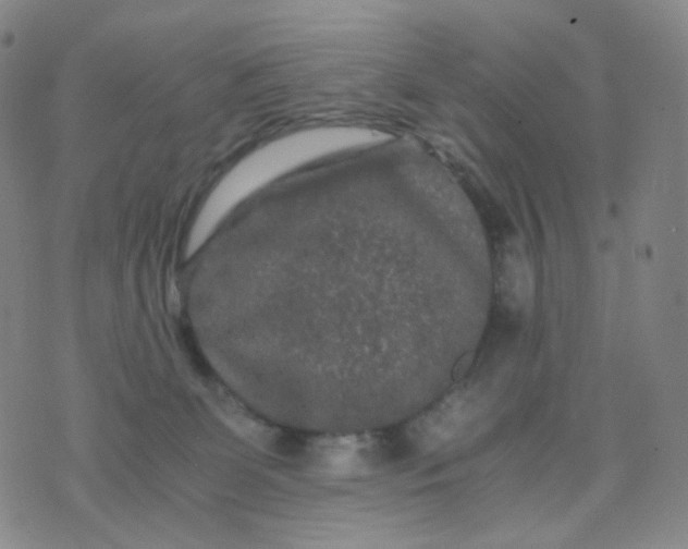 X0000076450131200610202344