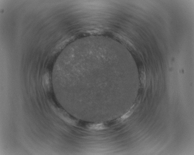 X0000076450132200610202344