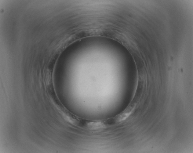 X0000076450133200610202344