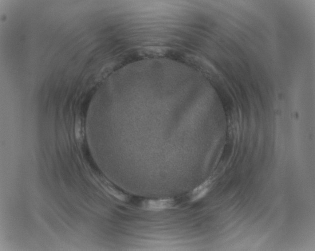 X0000076450134200610202344