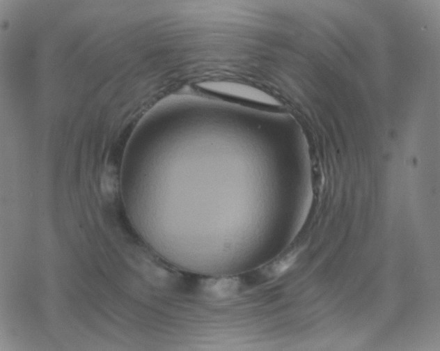 X0000076450135200610202344