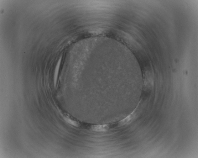 X0000076450136200610202344