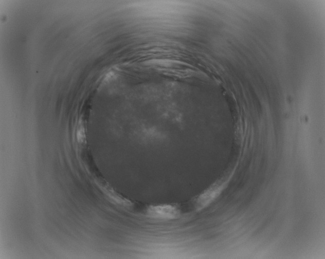 X0000076450137200610202344