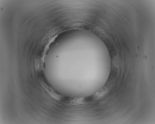 X0000076450138200610202344