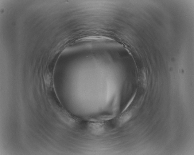 X0000076450139200610202344