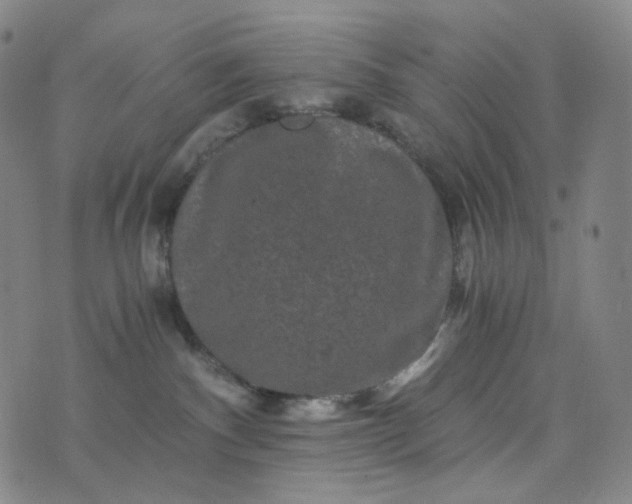 X0000076450140200610202344