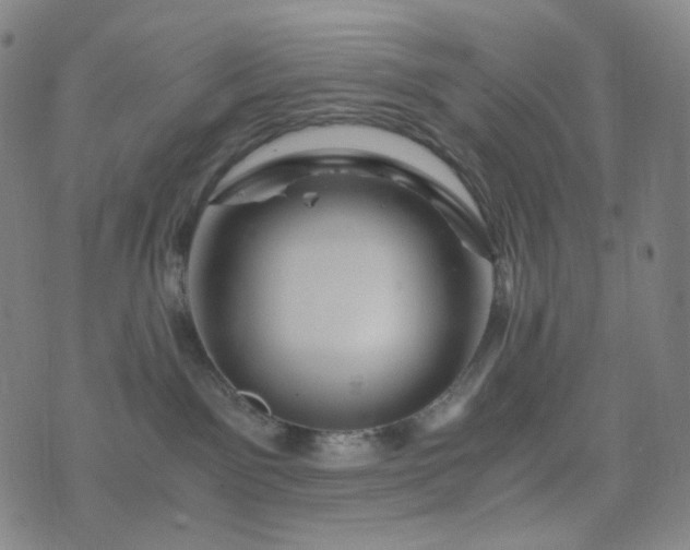 X0000076450141200610202344