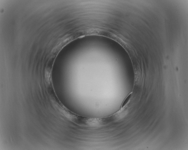 X0000076450142200610202344