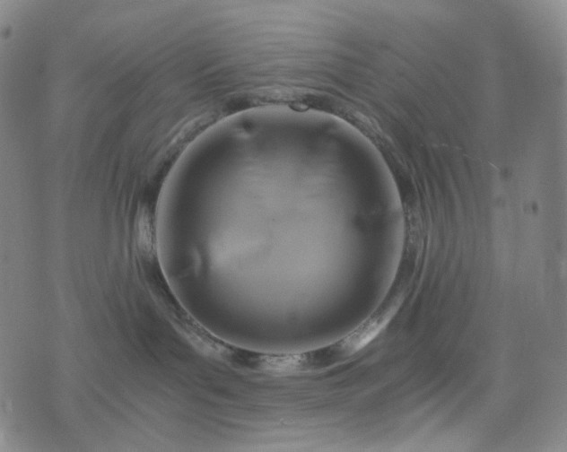 X0000076450143200610202344