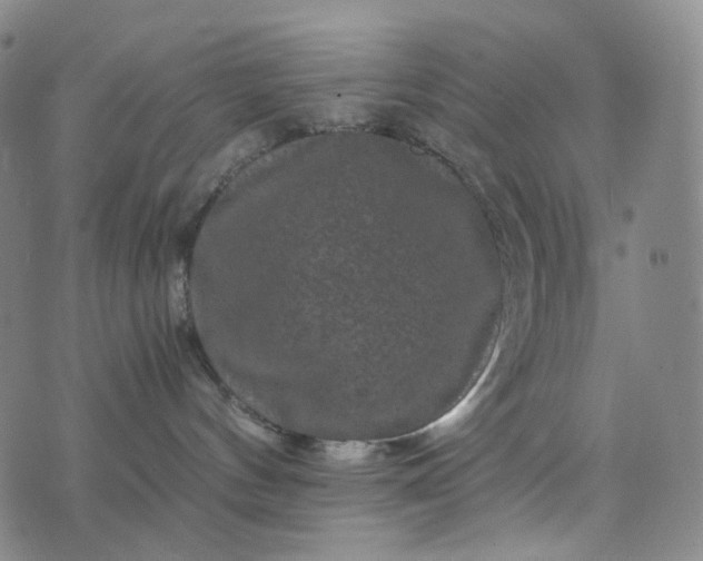 X0000076450144200610202344