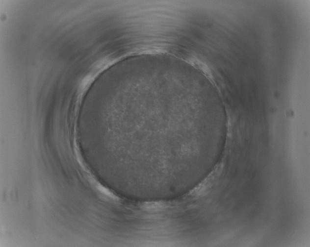 X0000076450145200610202343