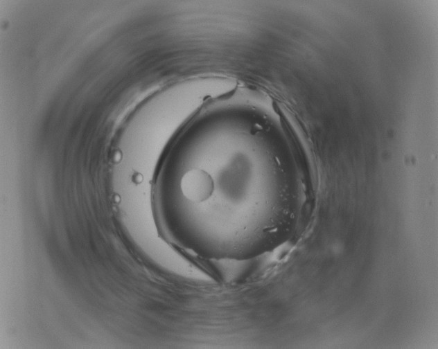 X0000076450146200610202343