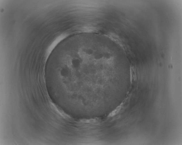 X0000076450147200610202343