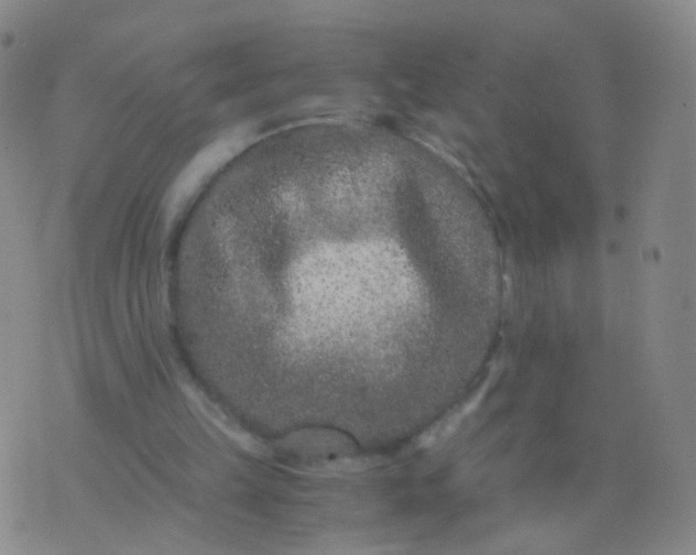 X0000076450149200610202343