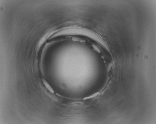 X0000076450150200610202343