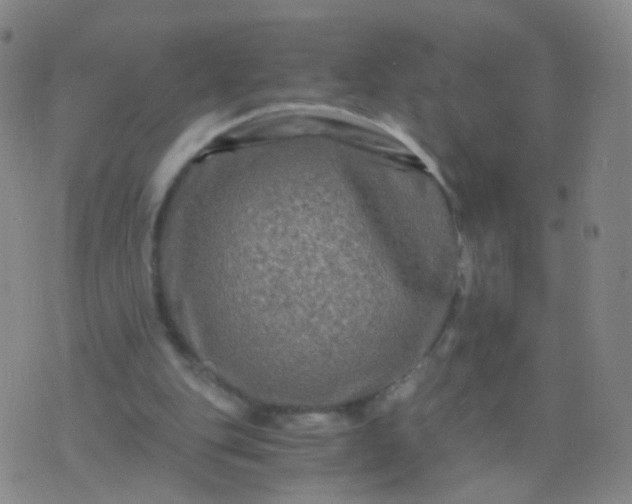 X0000076450151200610202343