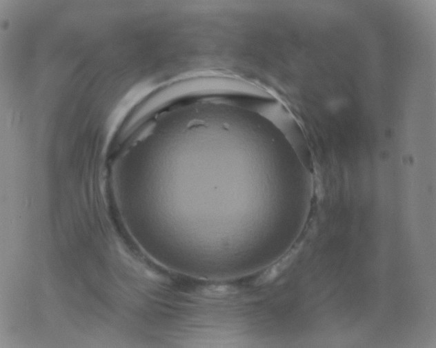 X0000076450152200610202343