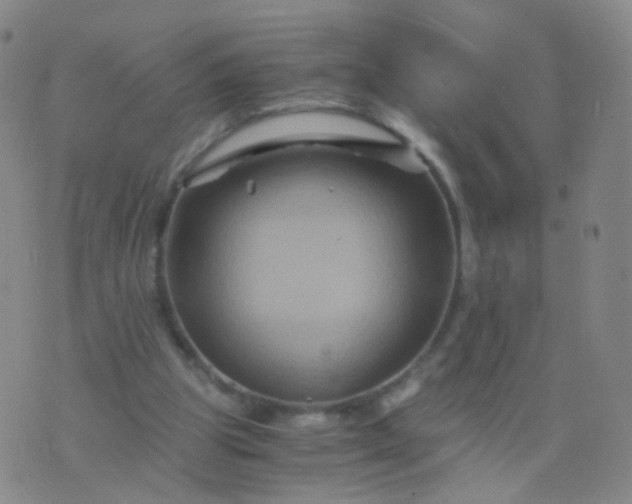 X0000076450153200610202343