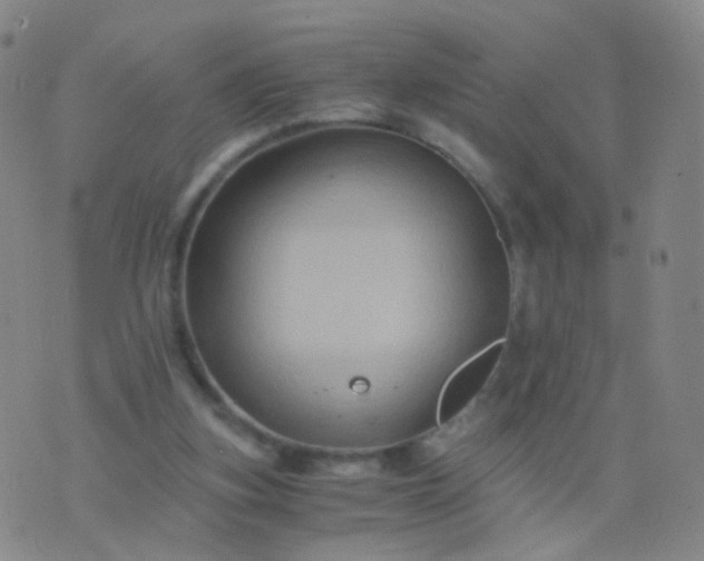 X0000076450155200610202343