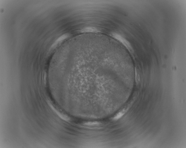 X0000076450157200610202343