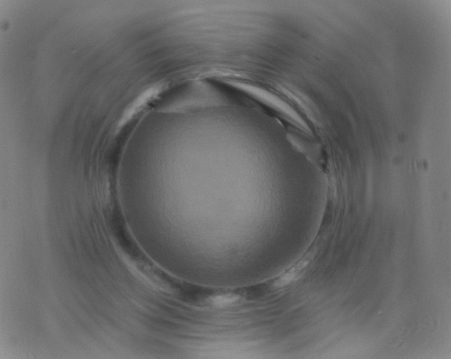 X0000076450158200610202343