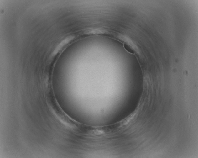 X0000076450159200610202343