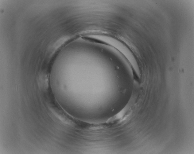 X0000076450160200610202343