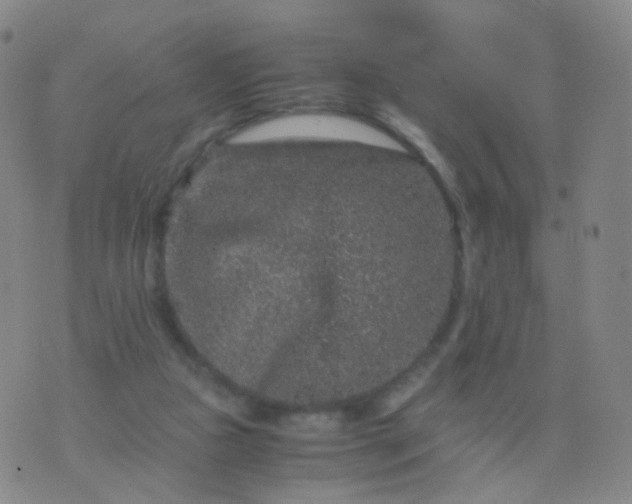 X0000076450161200610202343