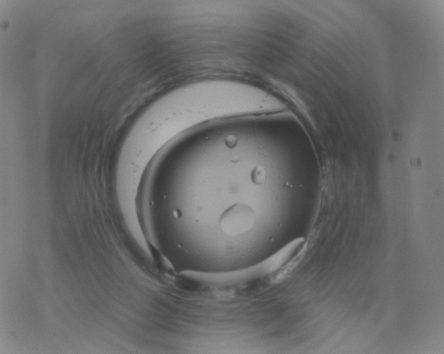 X0000076450162200610202343