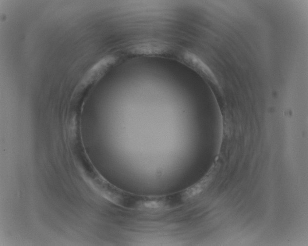 X0000076450163200610202343