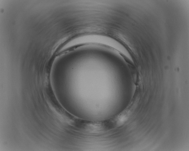 X0000076450164200610202343