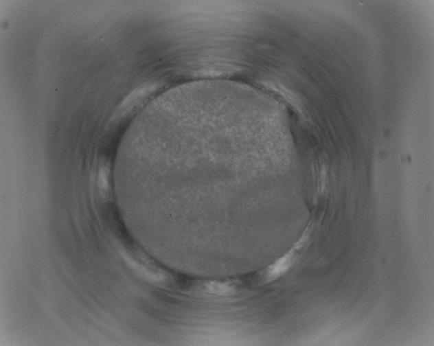 X0000076450166200610202343