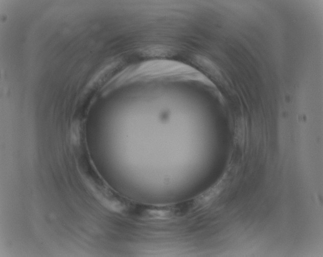 X0000076450167200610202343