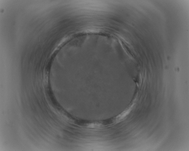 X0000076450168200610202344