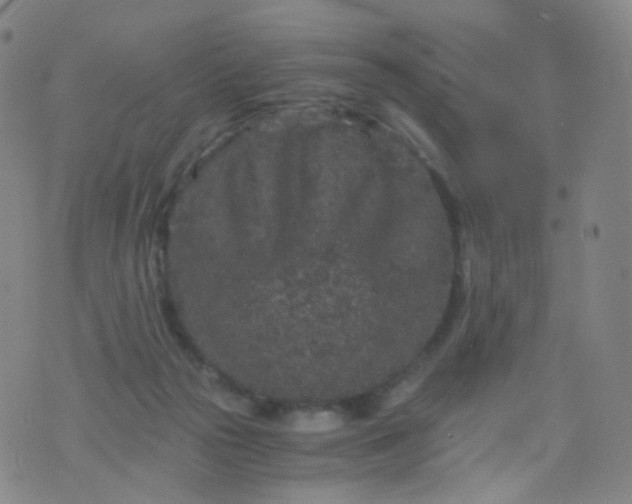 X0000076450169200610202344