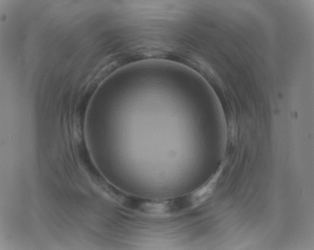 X0000076450170200610202344