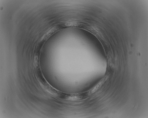 X0000076450171200610202344