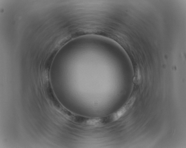 X0000076450172200610202344