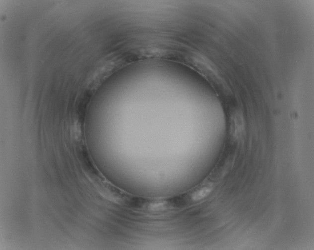 X0000076450173200610202344