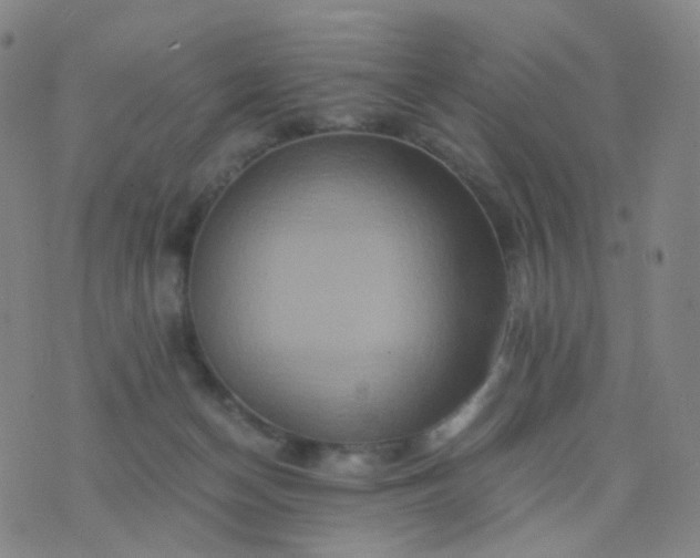 X0000076450174200610202344