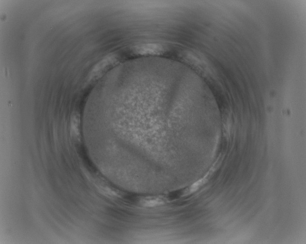 X0000076450175200610202344