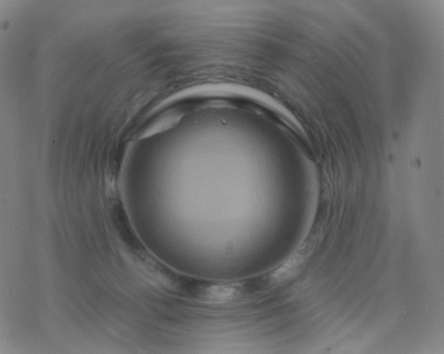 X0000076450176200610202344