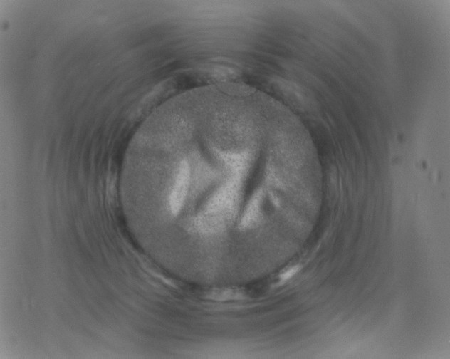 X0000076450177200610202344