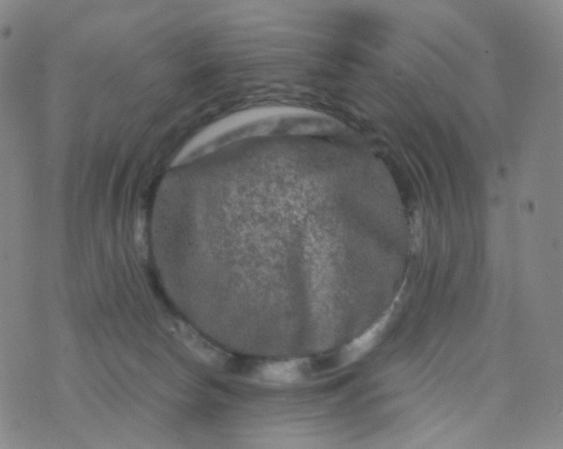 X0000076450178200610202344