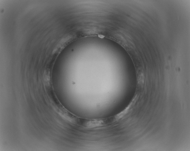 X0000076450179200610202344