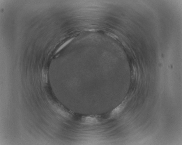 X0000076450180200610202344